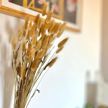Le Montebello Cozy * Κάννες